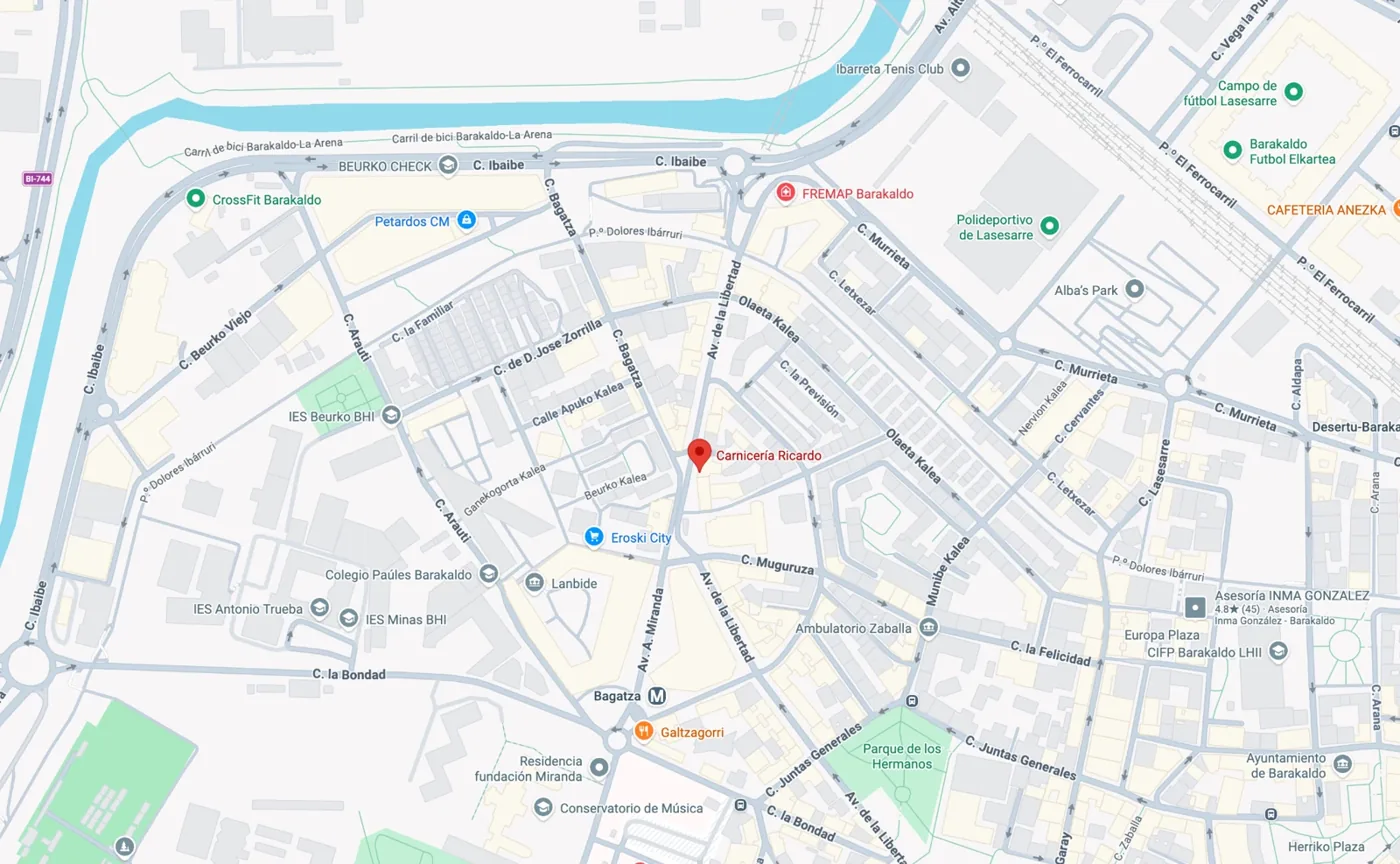 Mapa de Barakaldo con Carnicería Ricardo señalada en rojo en Askatasun Etorbidea